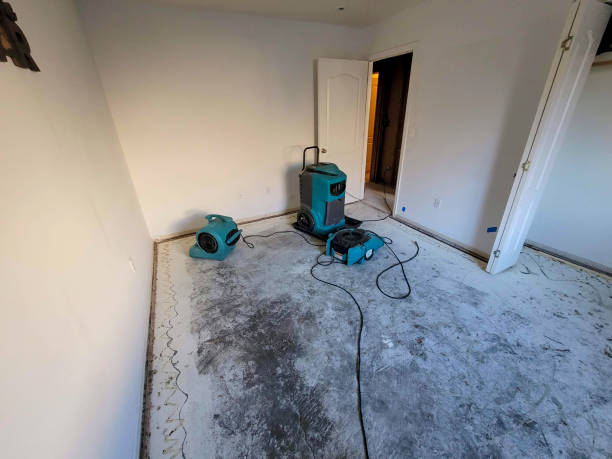 Best Water damage contractors near me  in Laurel, FL