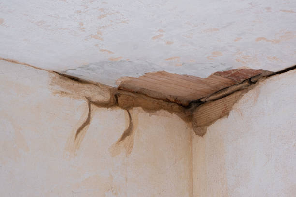 Best Water damage restoration process  in Laurel, FL