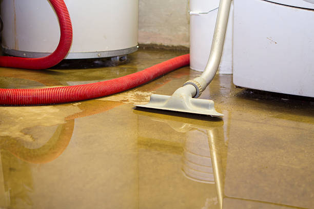 Best Commercial water damage restoration  in Laurel, FL