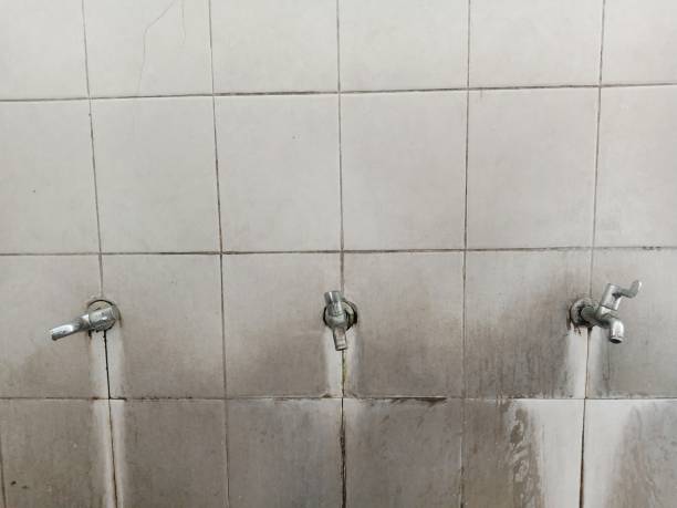 Best Commercial water damage restoration  in Laurel, FL