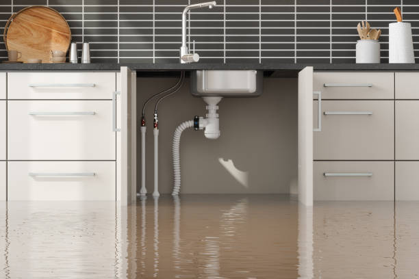 Best Flood damage cleanup  in Laurel, FL