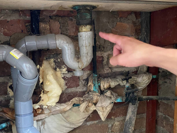 Best Water damage cleanup near me  in Laurel, FL