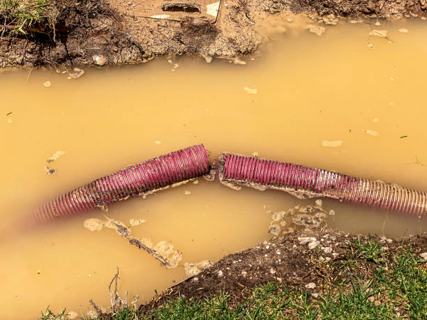 Best Residential water damage restoration  in Laurel, FL