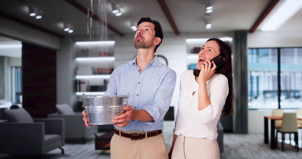 Professional Water damage restoration in Laurel, FL