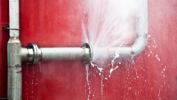 Best Water damage restoration services  in Laurel, FL